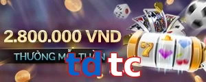 tdtc