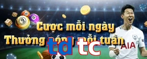 tdtc